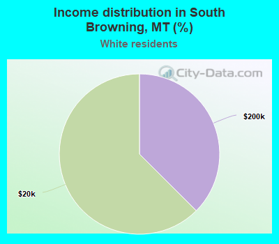 Income distribution in South Browning, MT (%)