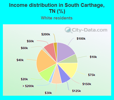 Income distribution in South Carthage, TN (%)