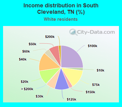 Income distribution in South Cleveland, TN (%)