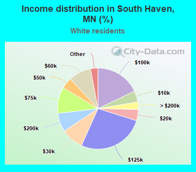 Income distribution in South Haven, MN (%)