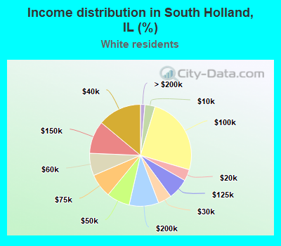 Income distribution in South Holland, IL (%)