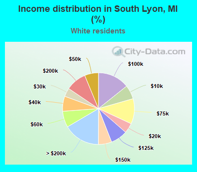 Income distribution in South Lyon, MI (%)