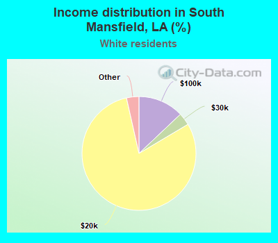 Income distribution in South Mansfield, LA (%)