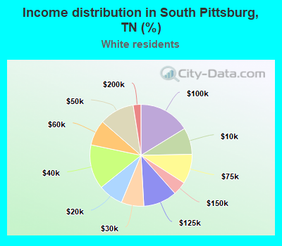 Income distribution in South Pittsburg, TN (%)