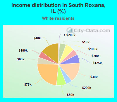 Income distribution in South Roxana, IL (%)