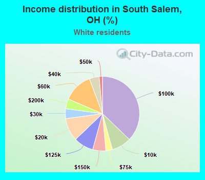 Income distribution in South Salem, OH (%)