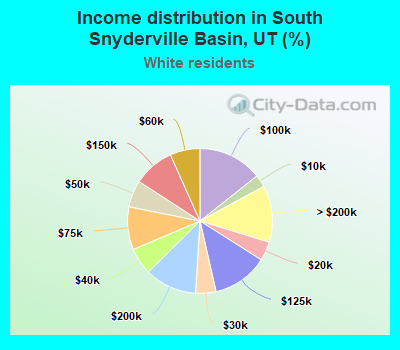 Income distribution in South Snyderville Basin, UT (%)