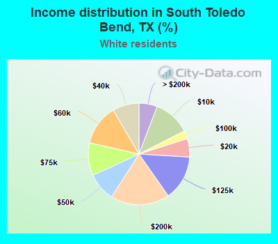 Income distribution in South Toledo Bend, TX (%)