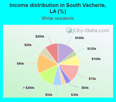 Income distribution in South Vacherie, LA (%)