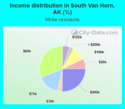 Income distribution in South Van Horn, AK (%)