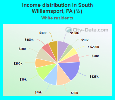 Income distribution in South Williamsport, PA (%)