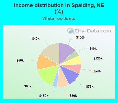 Income distribution in Spalding, NE (%)