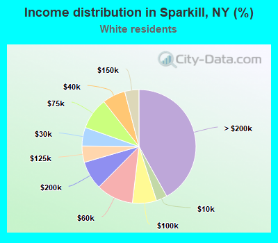 Income distribution in Sparkill, NY (%)