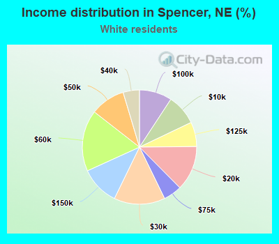 Income distribution in Spencer, NE (%)