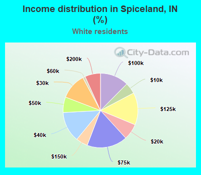 Income distribution in Spiceland, IN (%)