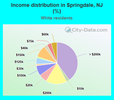 Income distribution in Springdale, NJ (%)