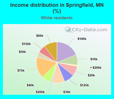 Income distribution in Springfield, MN (%)