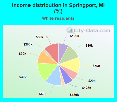Income distribution in Springport, MI (%)