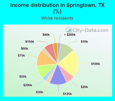 Income distribution in Springtown, TX (%)