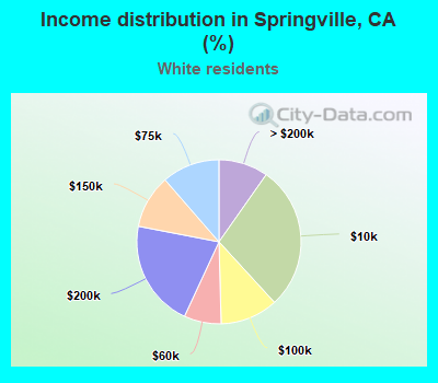 Income distribution in Springville, CA (%)