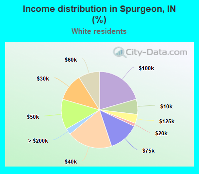 Income distribution in Spurgeon, IN (%)