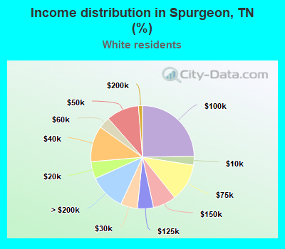 Income distribution in Spurgeon, TN (%)