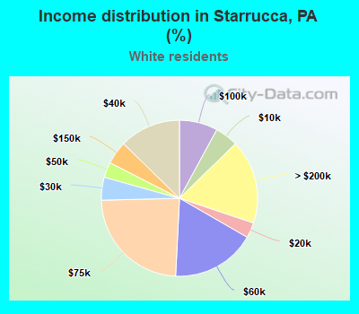 Income distribution in Starrucca, PA (%)