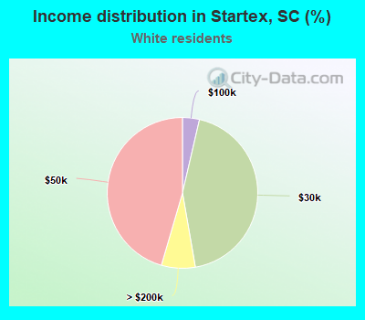 Income distribution in Startex, SC (%)
