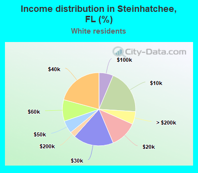 Income distribution in Steinhatchee, FL (%)
