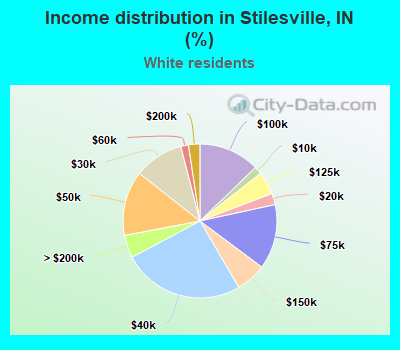 Income distribution in Stilesville, IN (%)