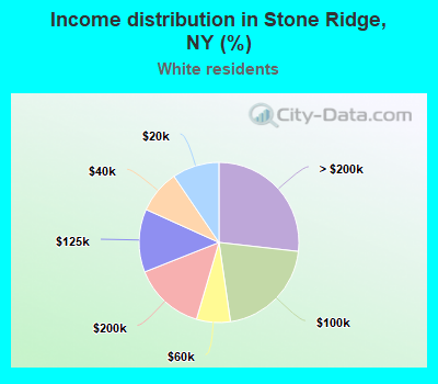 Income distribution in Stone Ridge, NY (%)