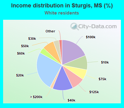Income distribution in Sturgis, MS (%)
