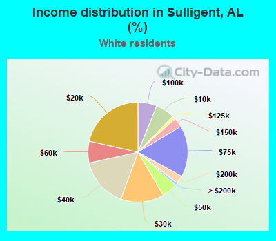 Income distribution in Sulligent, AL (%)
