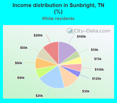 Income distribution in Sunbright, TN (%)