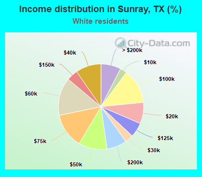 Income distribution in Sunray, TX (%)