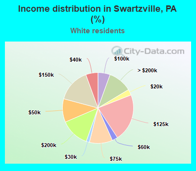 Income distribution in Swartzville, PA (%)