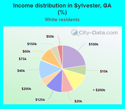 Income distribution in Sylvester, GA (%)