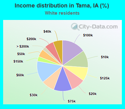 Income distribution in Tama, IA (%)