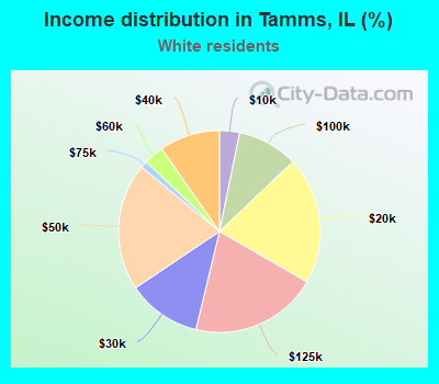 Income distribution in Tamms, IL (%)