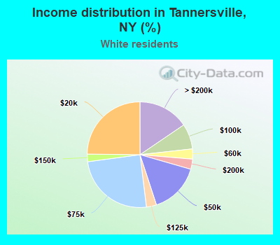 Income distribution in Tannersville, NY (%)
