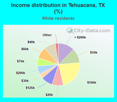 Income distribution in Tehuacana, TX (%)