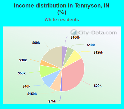 Income distribution in Tennyson, IN (%)