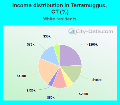 Income distribution in Terramuggus, CT (%)