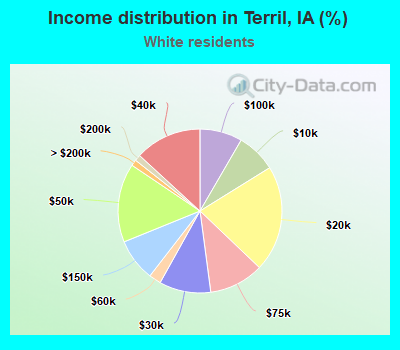 Income distribution in Terril, IA (%)