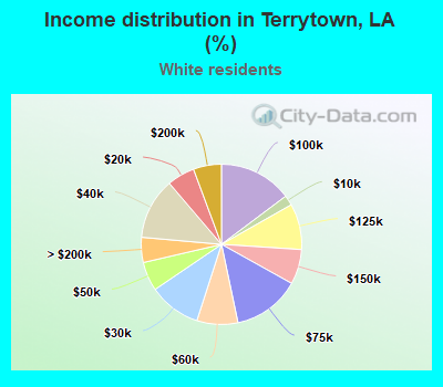 Income distribution in Terrytown, LA (%)
