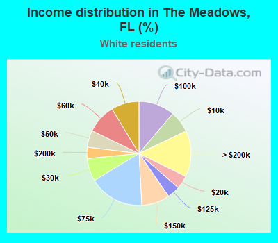 Income distribution in The Meadows, FL (%)