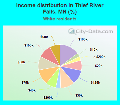 Income distribution in Thief River Falls, MN (%)