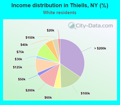 Income distribution in Thiells, NY (%)