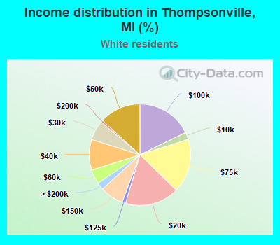 Income distribution in Thompsonville, MI (%)