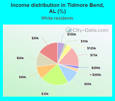 Income distribution in Tidmore Bend, AL (%)